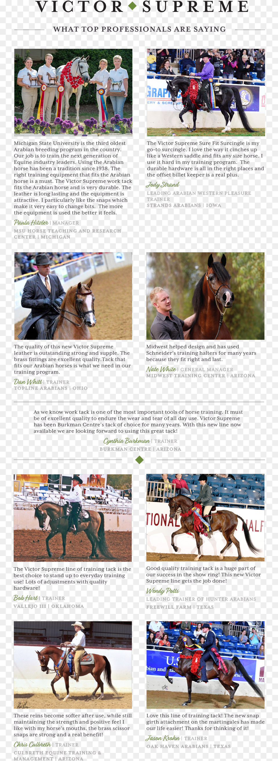 What Top Professionals Are Saying About Victor Supreme Horse, Mammal, Animal, Equestrian, Person Png