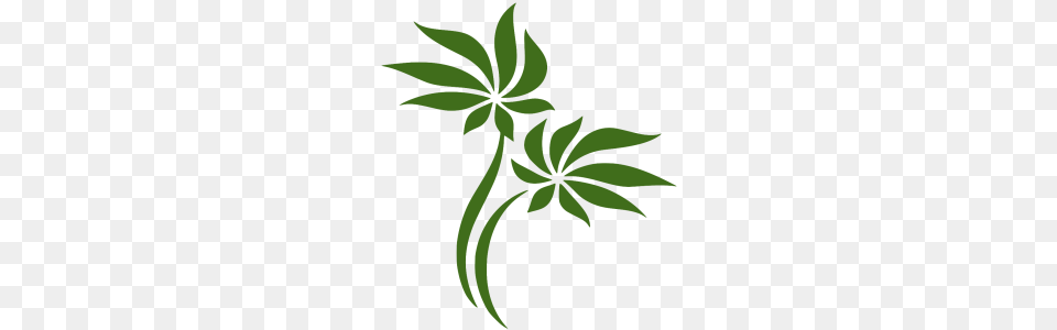 What We Do, Green, Leaf, Plant, Pattern Free Transparent Png