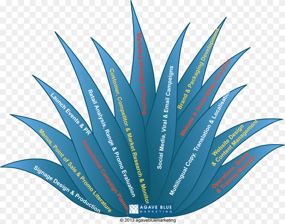 What We Do Agave Blue Marketing, Advertisement, Poster, Animal, Fish Free Png