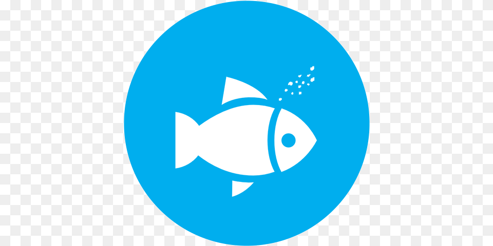 What We Give Our Fish Twitter Icon For Email Signature Fish, Animal, Sea Life, Disk, Shark Png