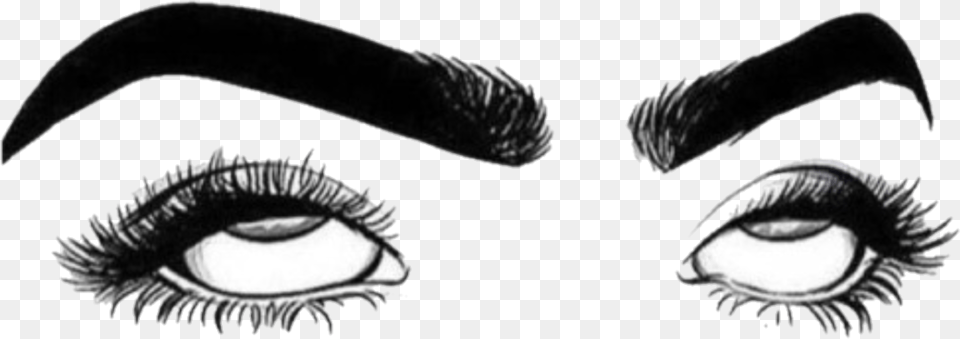 Whatever Edit Eyebrows Eyes Rollingeyes Sticker Lashes Transparent Eye Roll, Art, Animal, Dinosaur, Reptile Png Image