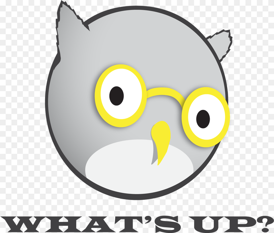 Whats Up Owl Logo Cartoon, Animal, Astronomy, Moon, Nature Png