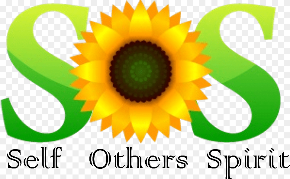 Whats Up With All These Sunflowers Sunflower, Flower, Plant Free Png Download