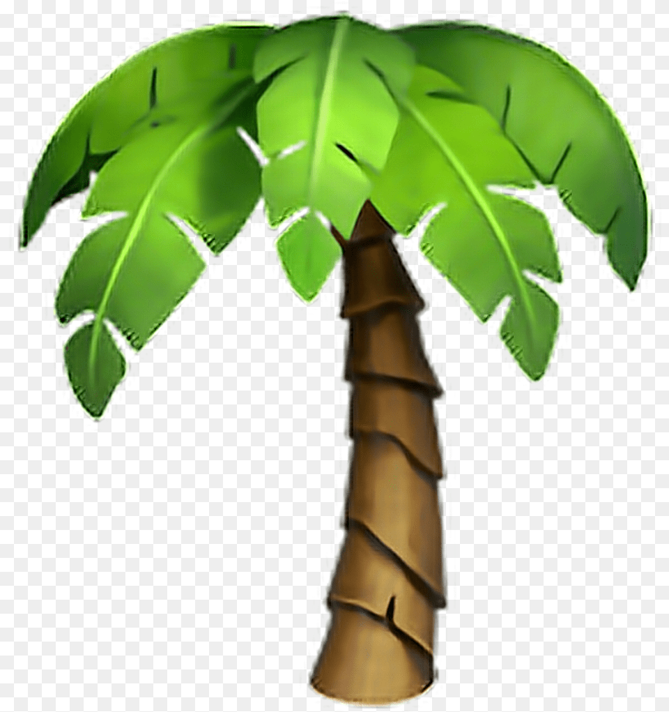 Whatsapp Emoji Palme Iphone Palm Tree Emoji, Palm Tree, Plant, Bamboo, Food Free Png Download