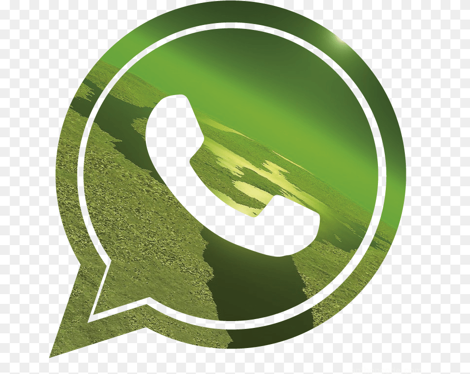 Whatsapp Logo Vector Logo Whatsapp Vector, Green, Grass, Plant, Symbol Free Png