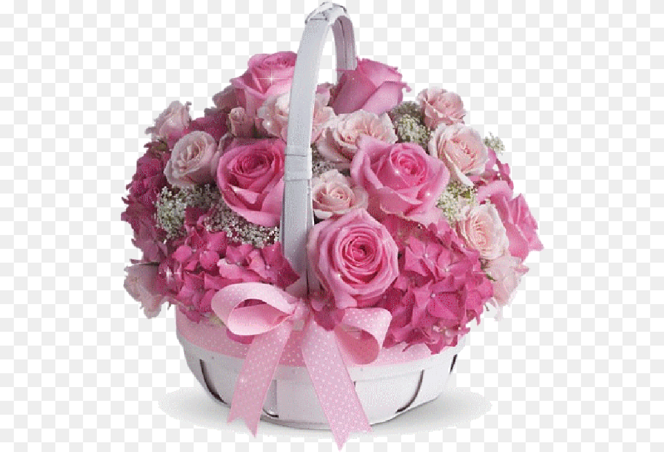 Whatsapp Status Of Flowers, Flower, Flower Arrangement, Flower Bouquet, Plant Png