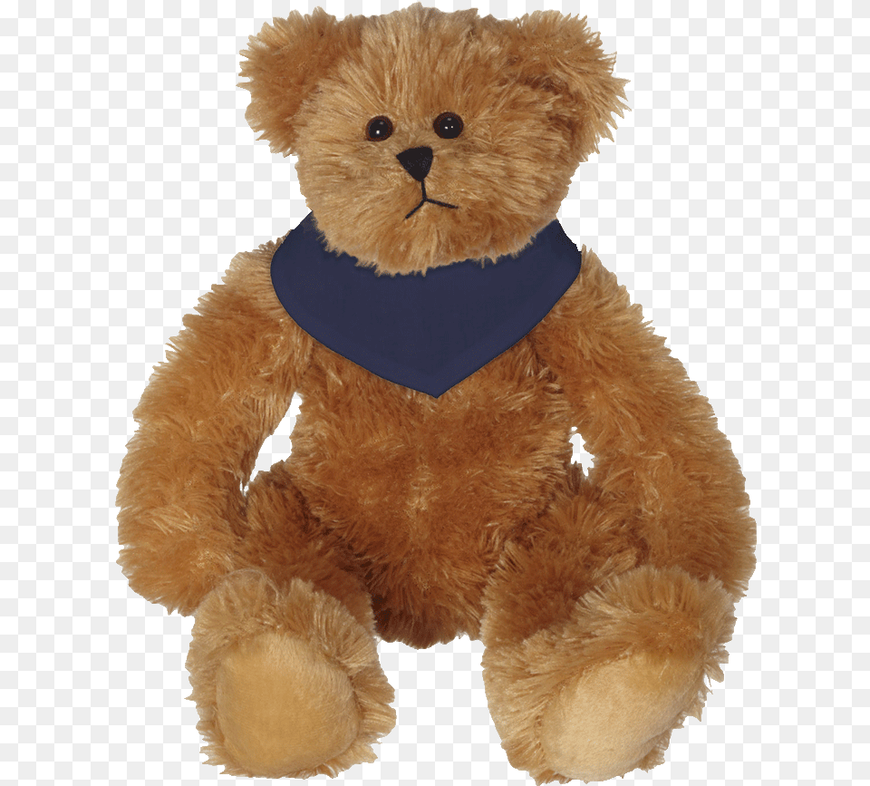 Whatzupwiththat Bearwear Bandanna Teddy Bear, Teddy Bear, Toy Png Image