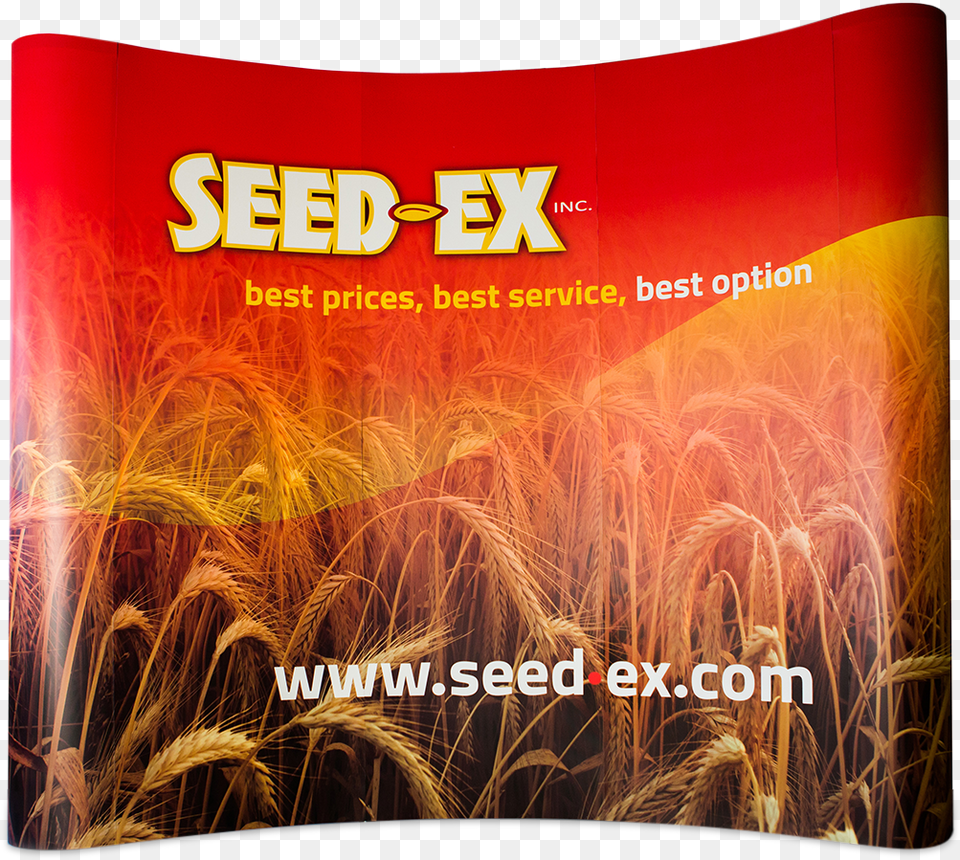 Wheat, Plant, Food, Grain, Produce Png