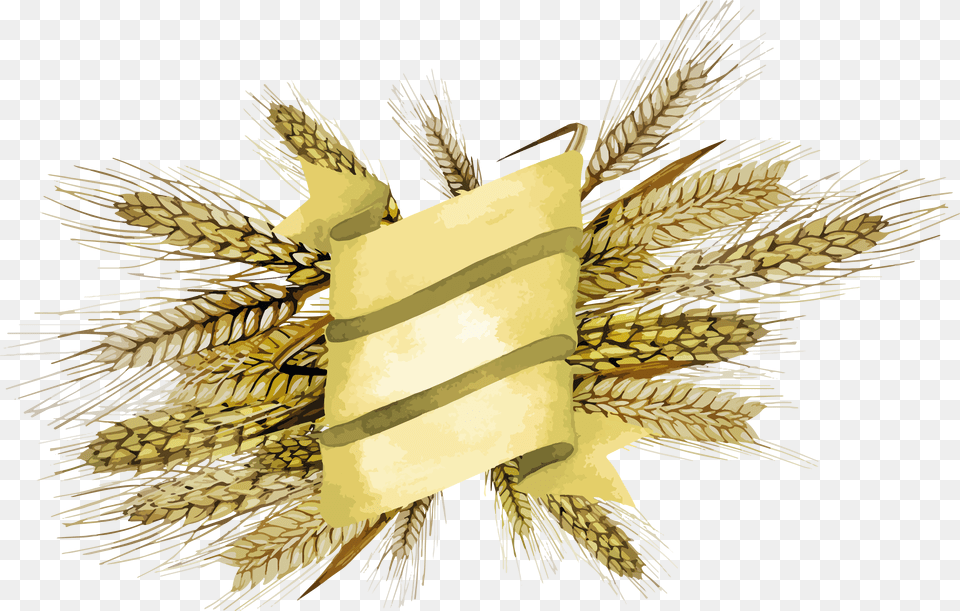 Wheat, Food, Grain, Produce Png Image