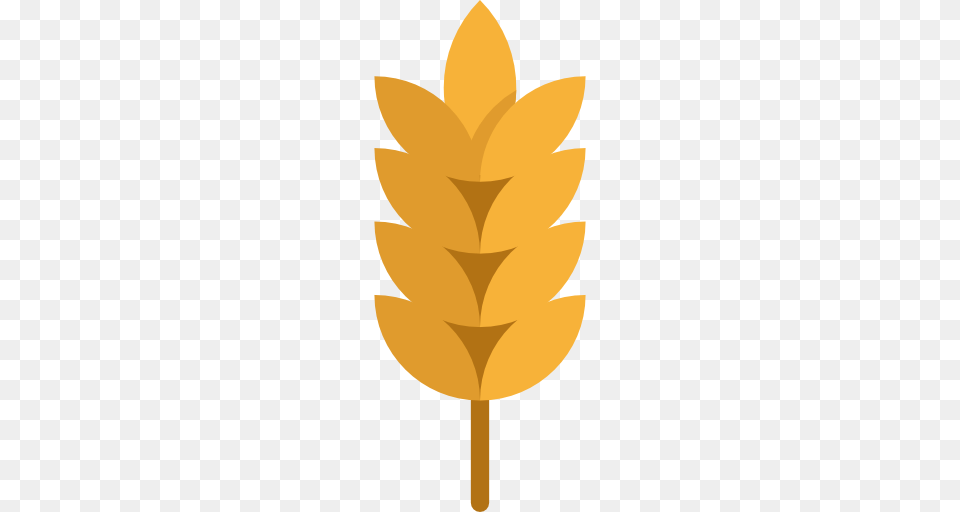 Wheat, Leaf, Plant, Food, Sweets Free Png