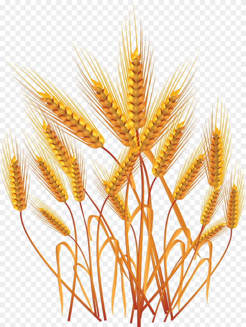Wheat, Food, Grain, Produce, Chandelier Free Png Download