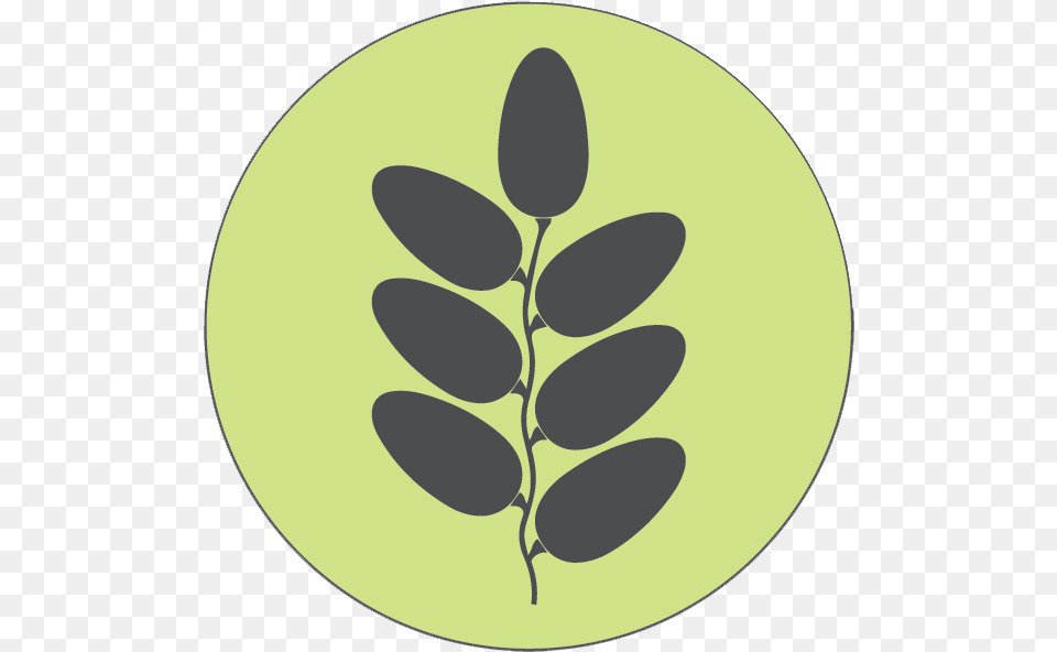 Wheat, Leaf, Plant, Oval, Disk Png