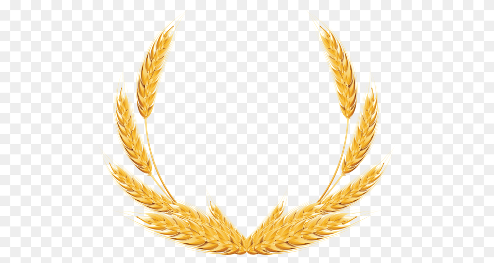 Wheat, Food, Grain, Produce Free Transparent Png