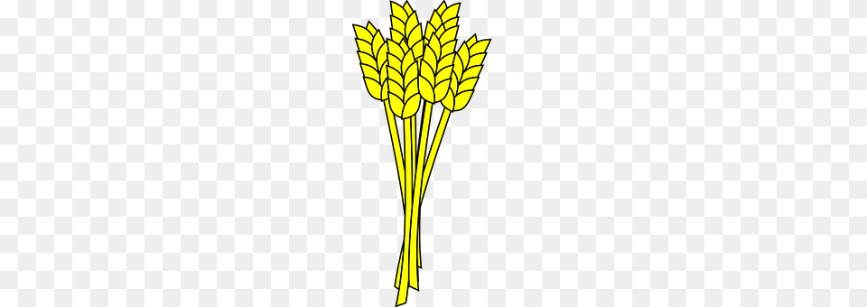 Wheat Leaf, Plant Free Png