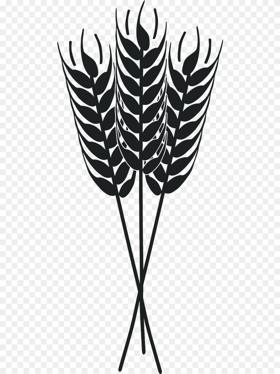 Wheat, Plant, Fern, Leaf Png Image