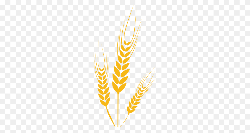 Wheat, Food, Grain, Produce, Electronics Free Png Download
