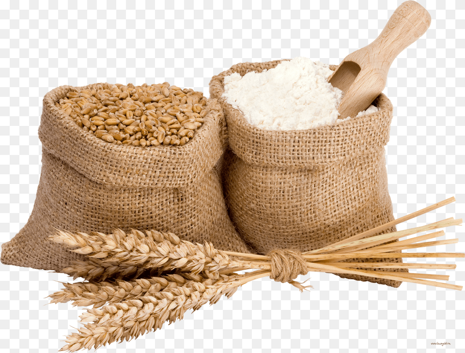 Wheat Png