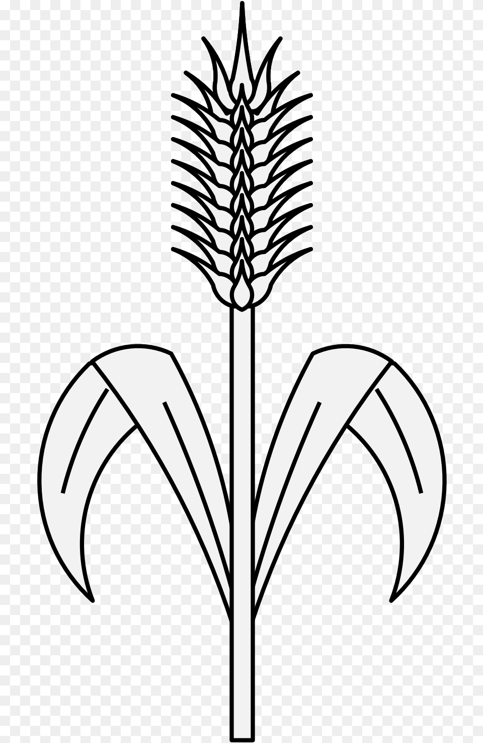 Wheat, Stencil, Flower, Plant Png