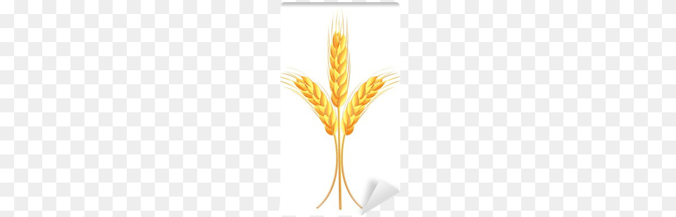Wheat, Food, Grain, Produce Free Transparent Png