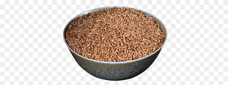 Wheat Berries Hard Red Lundberg Family Farms, Food, Grain, Produce, Seed Png Image