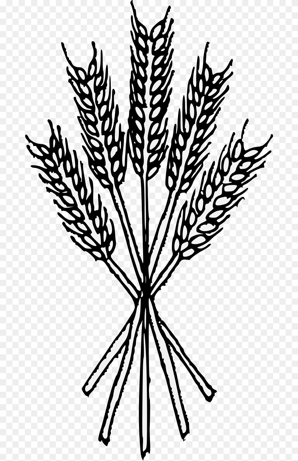 Wheat Black And White, Stencil, Art, Grass, Plant Free Png Download