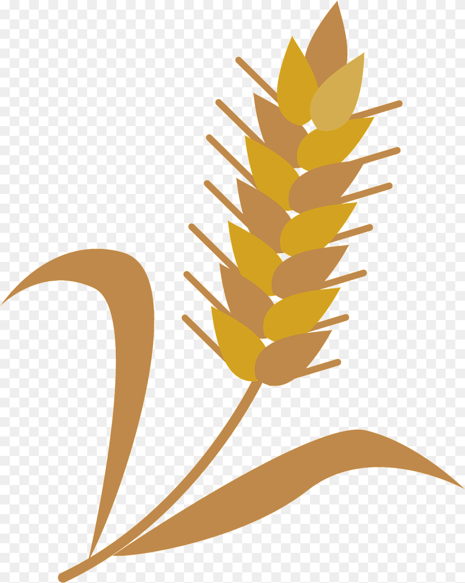 Wheat Cereal Grain Clipart, Food, Grass, Plant, Produce Free Png Download