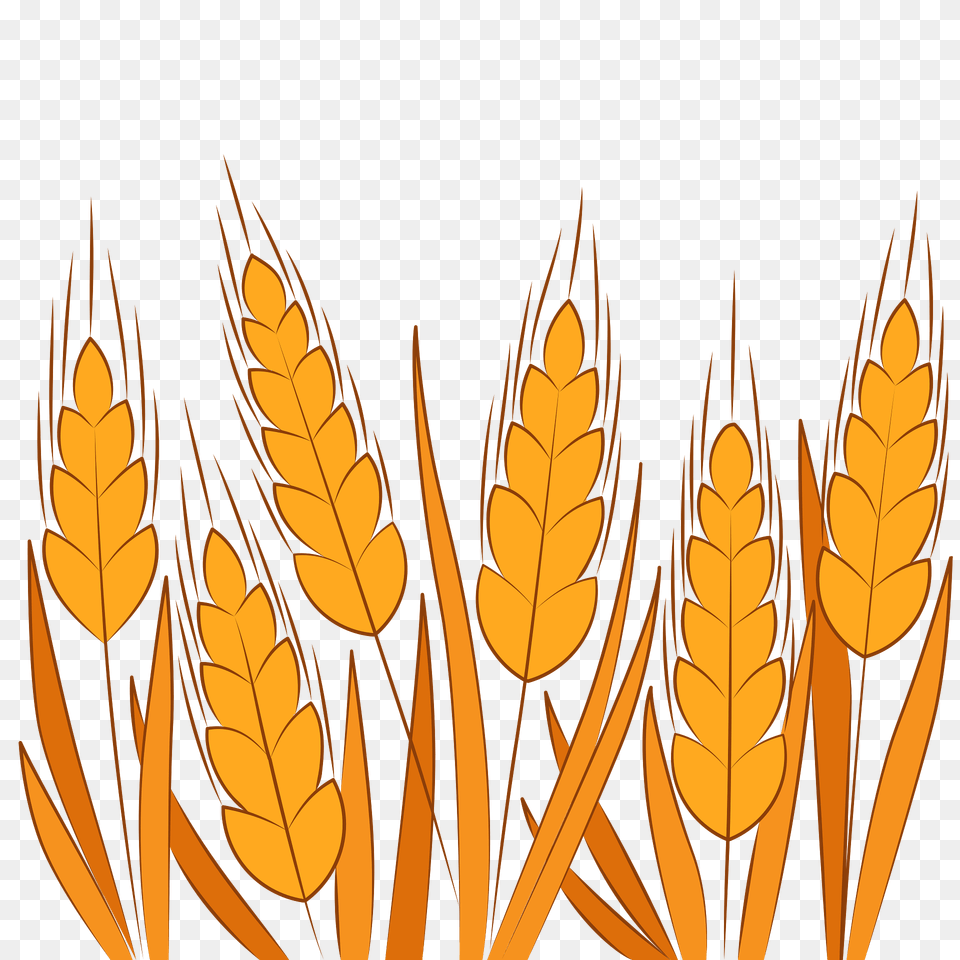 Wheat Clipart, Leaf, Plant, Pattern, Art Free Png Download
