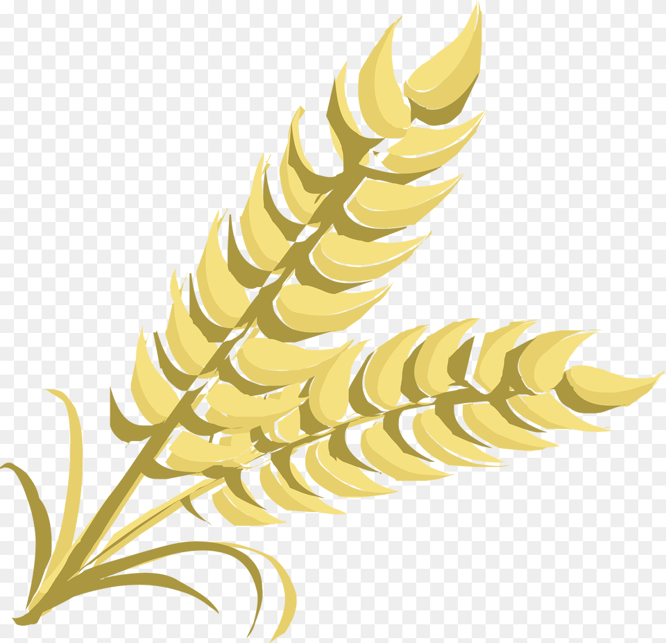 Wheat Clipart, Food, Grain, Grass, Plant Free Transparent Png