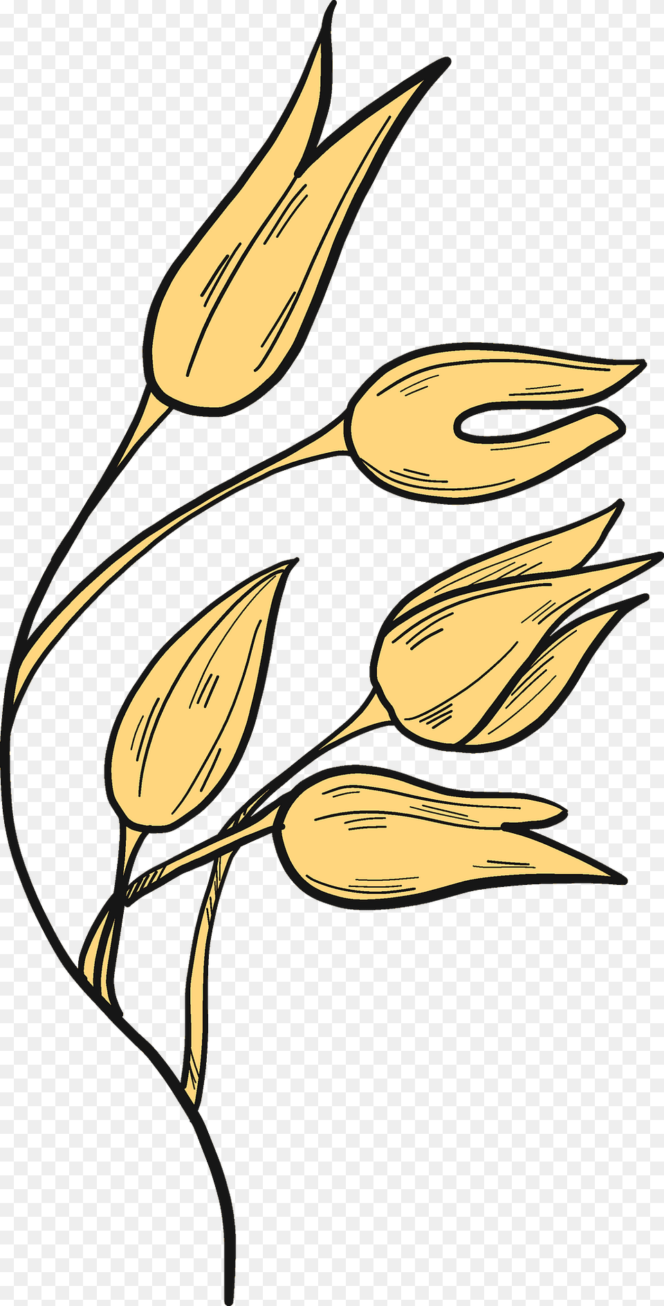 Wheat Clipart, Art, Flax, Flower, Plant Free Transparent Png
