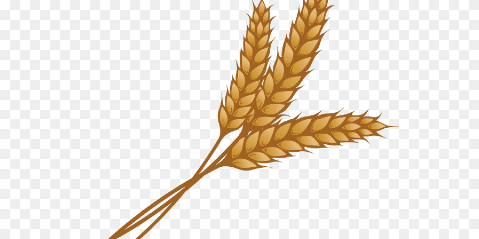Wheat Clipart, Food, Grain, Produce, Person Free Png Download