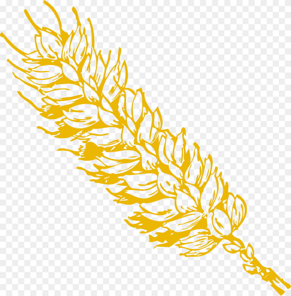 Wheat Clipart, Grass, Plant, Tree, Conifer Png Image