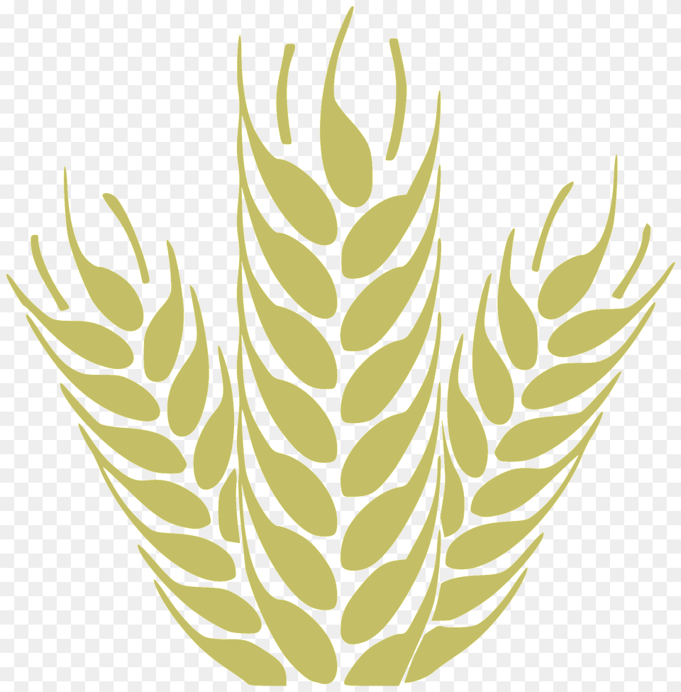 Wheat Clipart, Leaf, Plant, Food, Grain Png Image