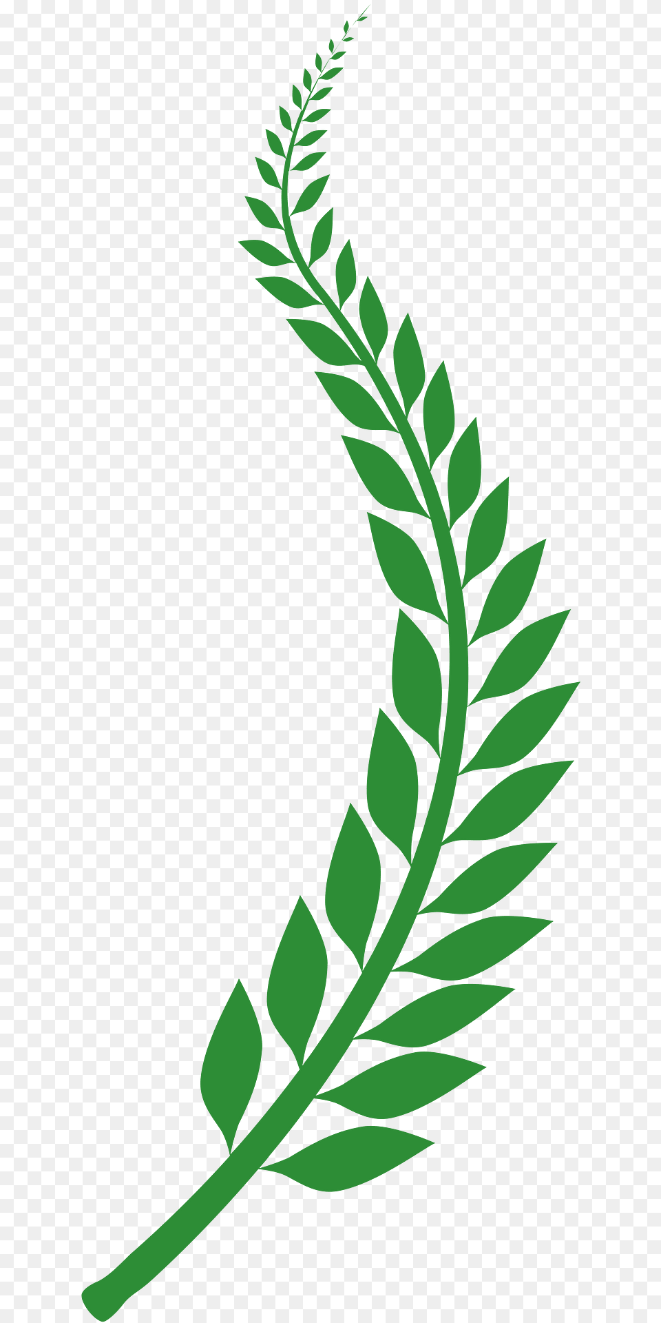 Wheat Clipart, Green, Leaf, Plant, Vegetation Free Transparent Png