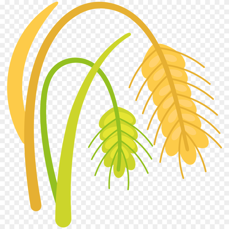 Wheat Clipart, Anther, Flower, Plant, Pollen Free Transparent Png
