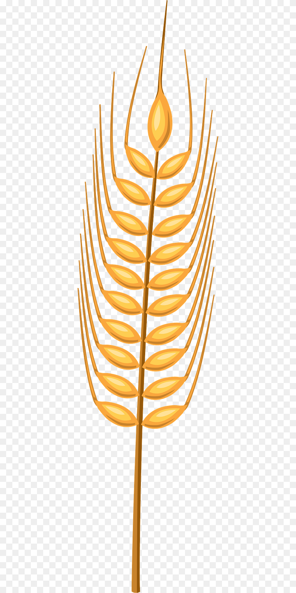 Wheat Clipart, Fern, Plant Png