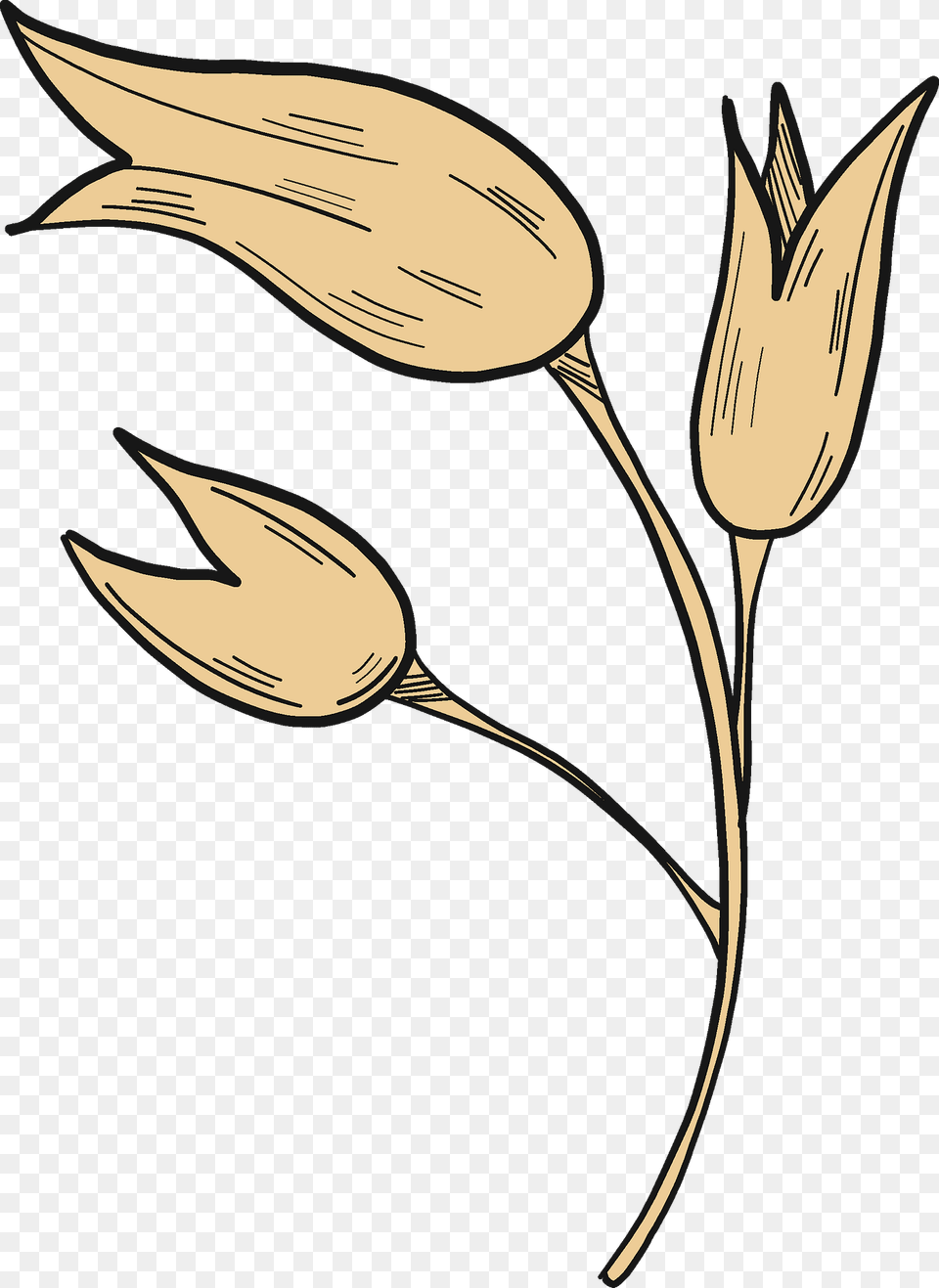 Wheat Clipart, Flax, Flower, Plant, Art Free Transparent Png