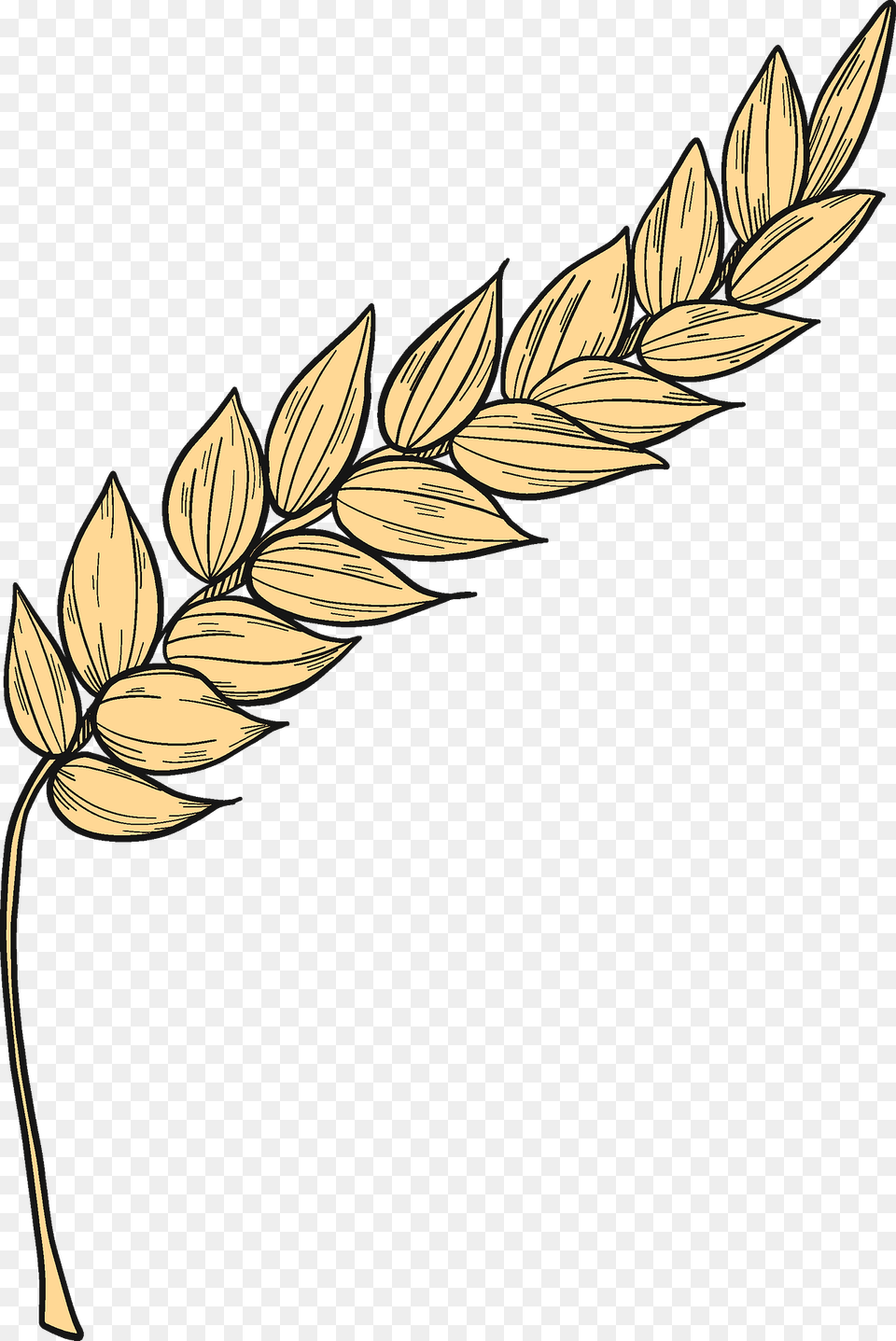 Wheat Clipart, Food, Grain, Produce Png