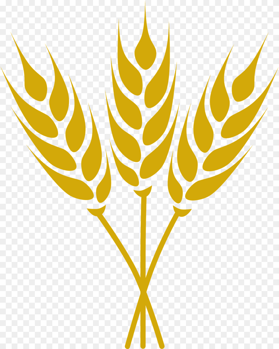 Wheat Clipart, Food, Grain, Produce, Leaf Png