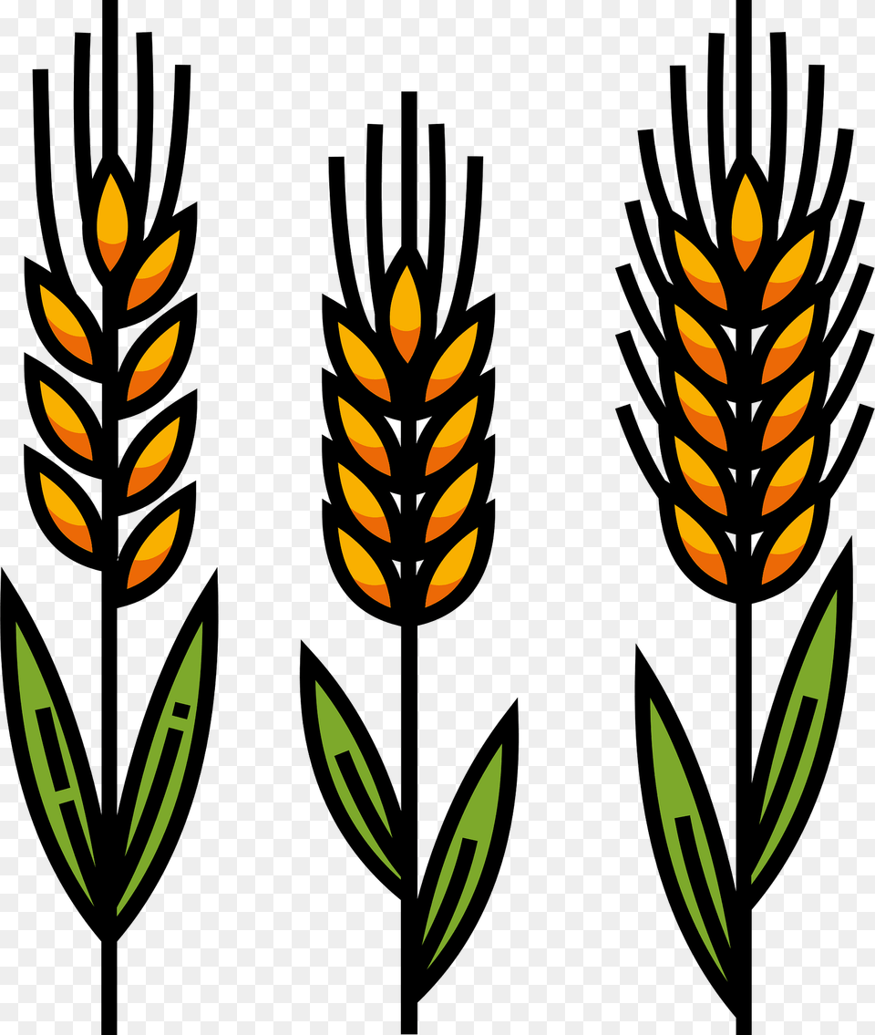 Wheat Clipart, Leaf, Plant, Art, Grass Free Png