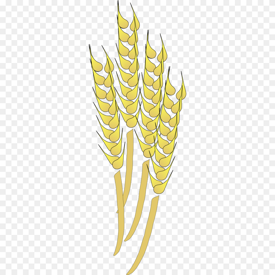 Wheat Clipart, Electronics, Hardware, Animal, Invertebrate Free Png