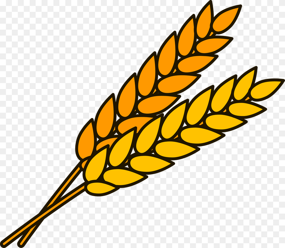 Wheat Clipart, Food, Grain, Produce Free Png Download