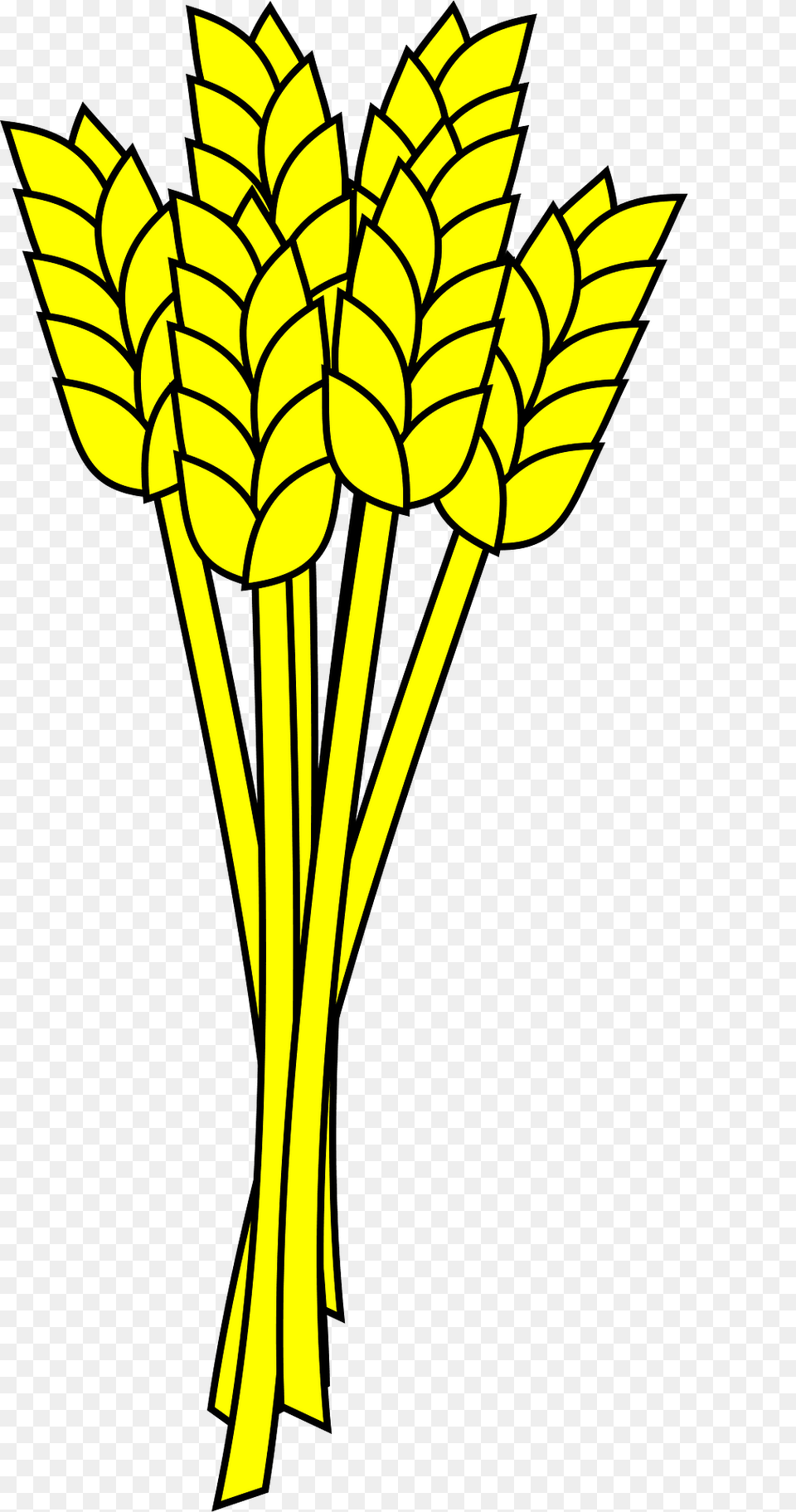 Wheat Clipart, Plant, Food, Leaf, Leek Png