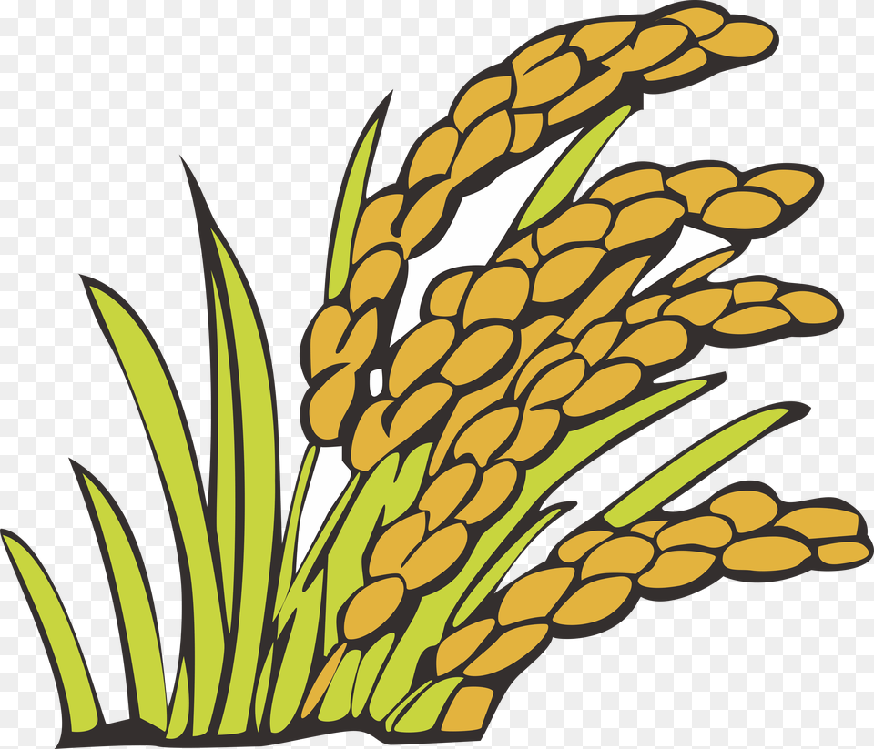 Wheat Clipart Bunga Padi Kartun Padi, Field, Outdoors, Nature, Food Free Png