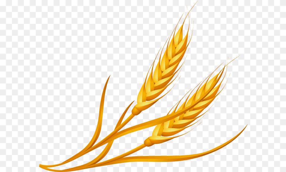 Wheat Clipart Searchpng Cartoon Wheat, Food, Grain, Produce Free Png Download