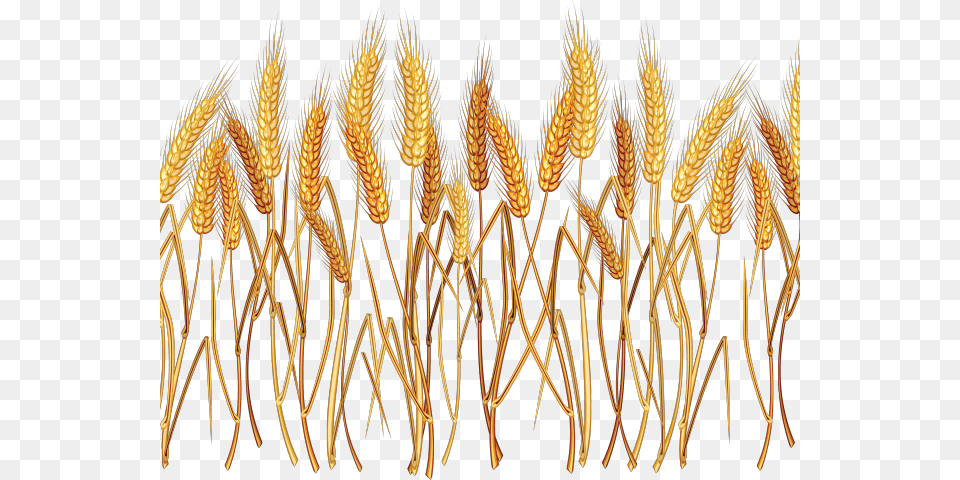 Wheat Clipart Background Wheat Clipart, Food, Grain, Produce, Chandelier Free Transparent Png