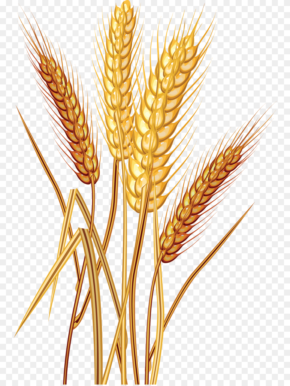 Wheat Clipart Trigo Wheat Clipart, Food, Grain, Produce, Chandelier Free Transparent Png