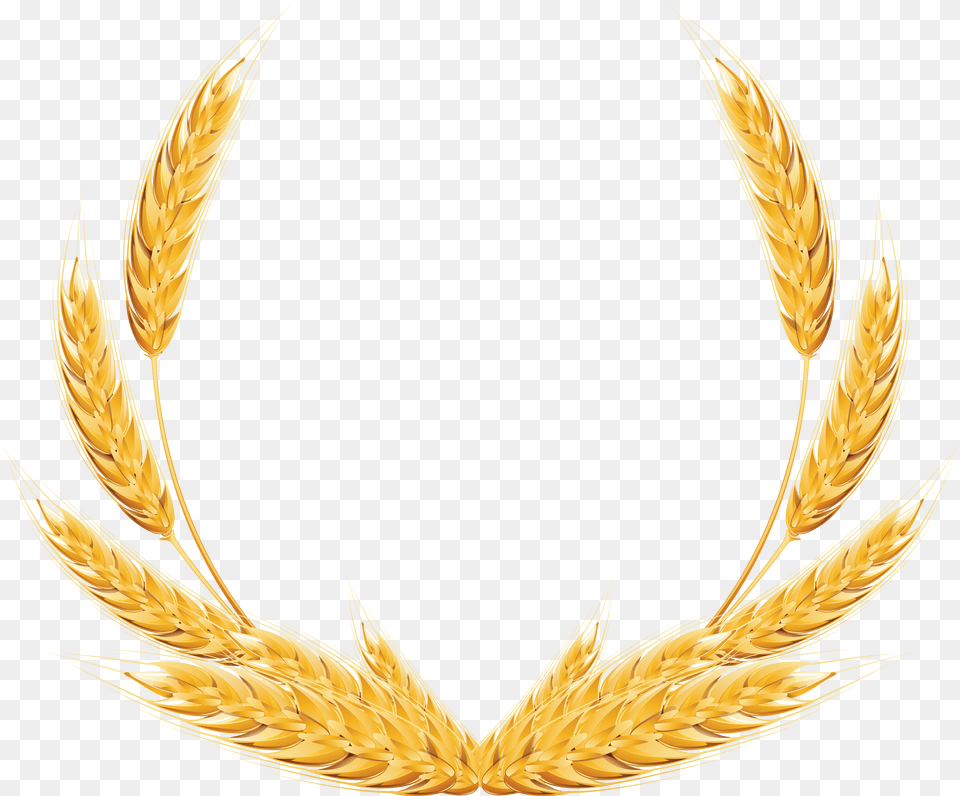 Wheat Clipart Wheat Free Transparent Png