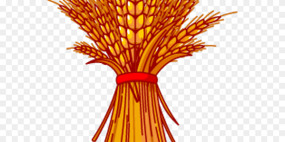 Wheat Clipart Wheat Field Clip Art Grain, Food, Person, Produce, Outdoors Png Image