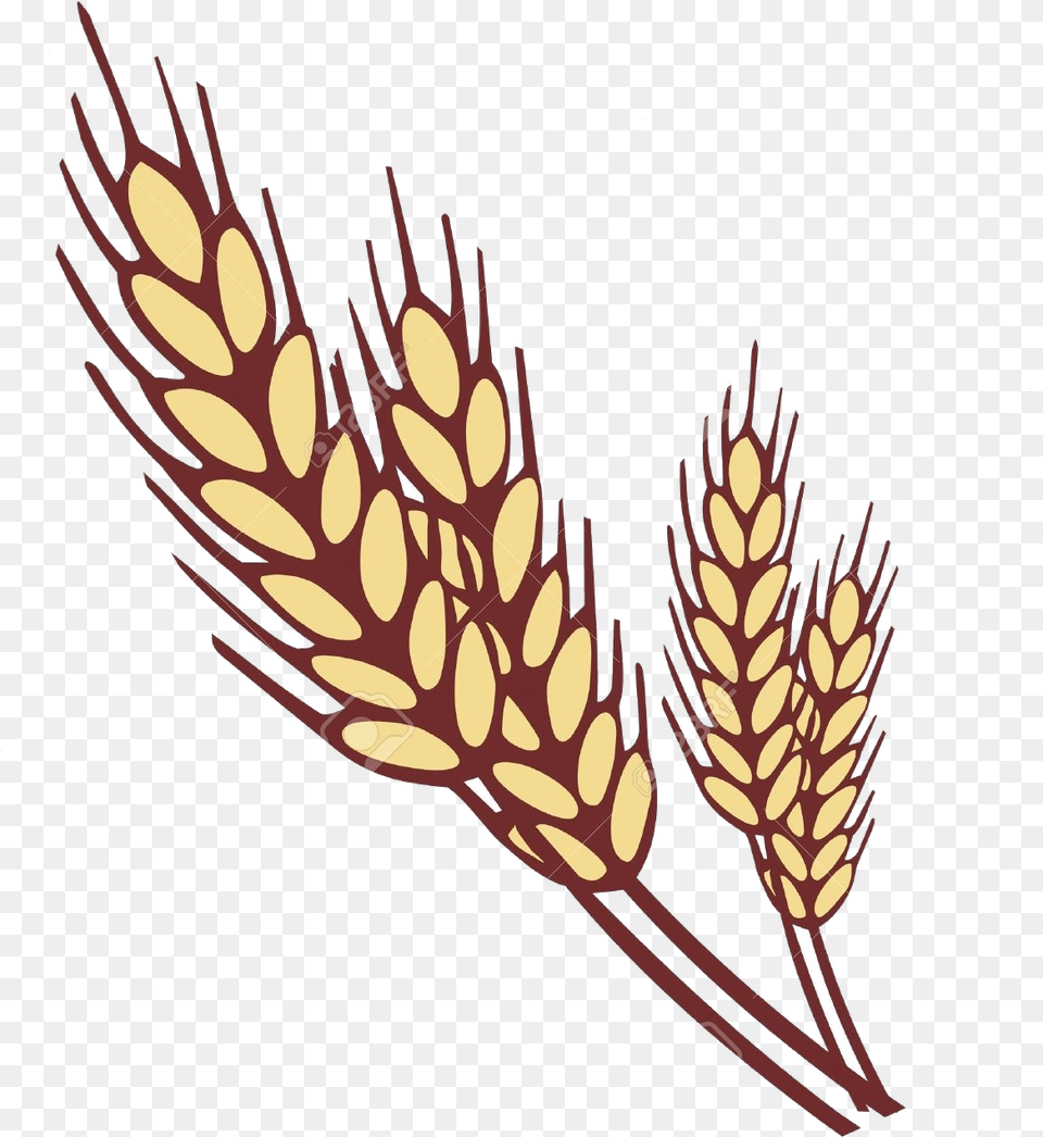 Wheat Collection Of Clipart Images In Ear Of Wheat Clipart, Food, Grain, Produce, Grass Free Transparent Png