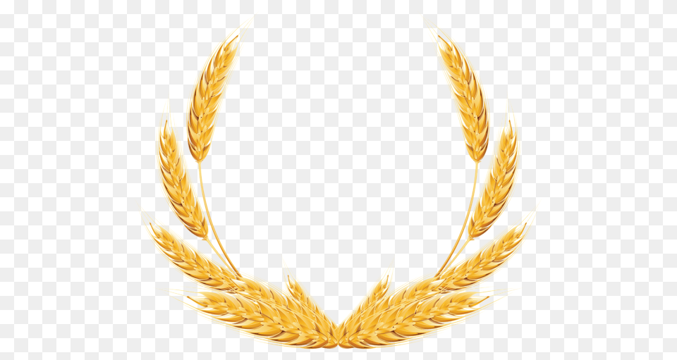 Wheat Decoration Clipart Image Ramki Wheat, Food, Grain, Produce Free Png Download